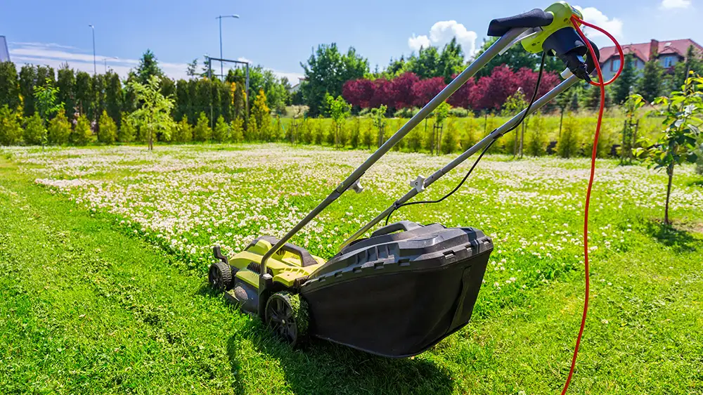 Rasenmäher schneidet grünes Gras im Hinterhof